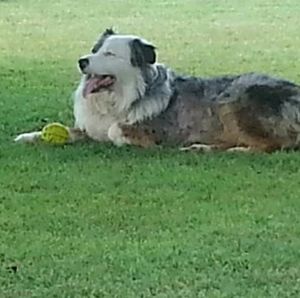 Meet your Posher, Kenneth